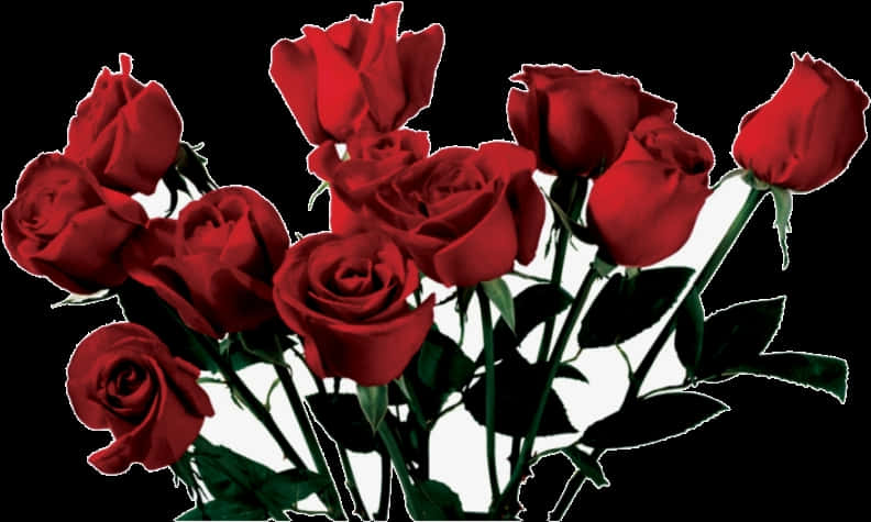 Vibrant_ Red_ Roses_ Bouquet PNG