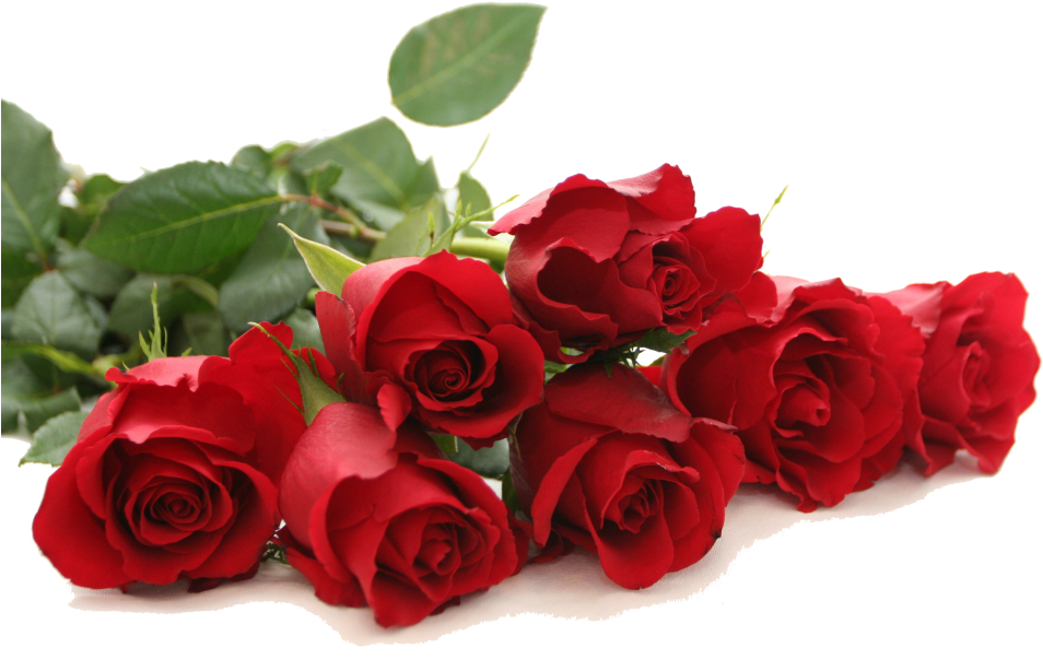 Vibrant_ Red_ Roses_ Bouquet.png PNG