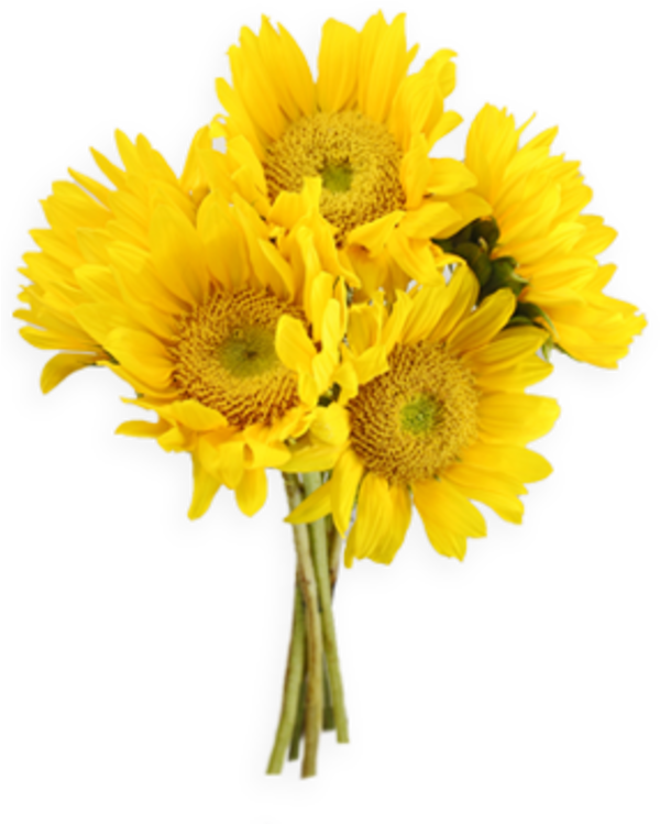 Vibrant_ Sunflower_ Bouquet.png PNG