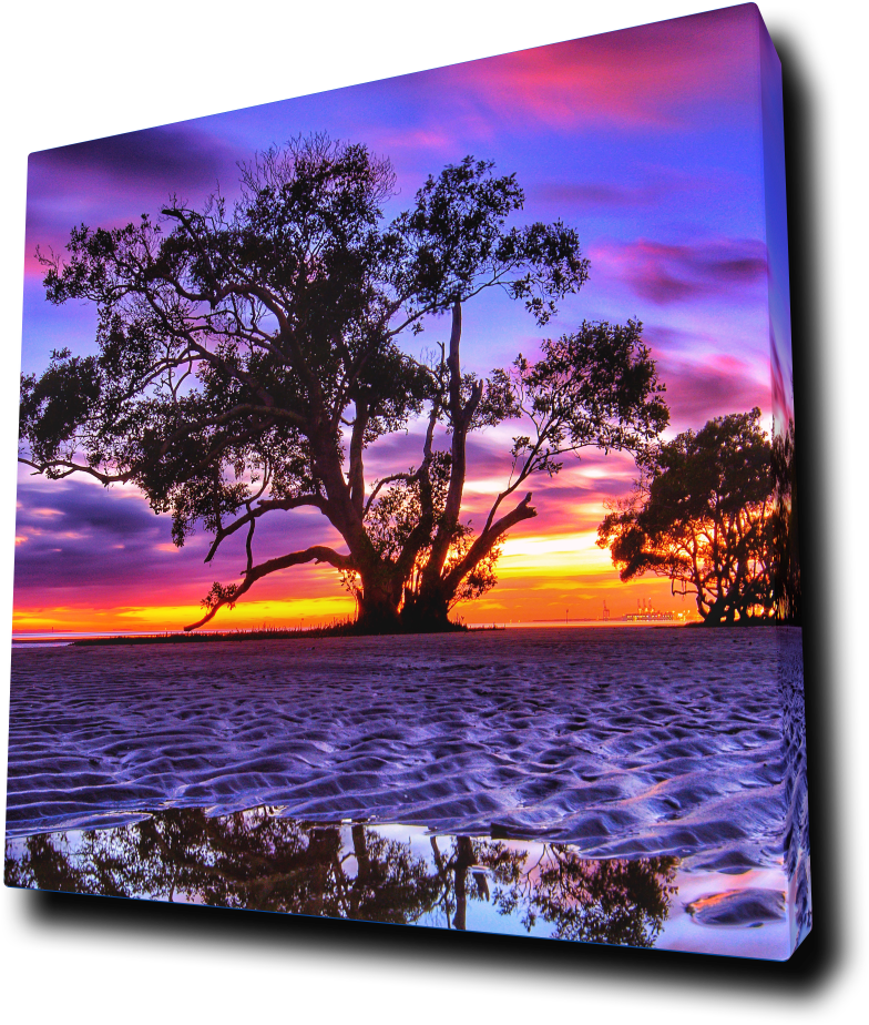 Vibrant_ Sunset_ Silhouette_ Tree_by_ Water PNG