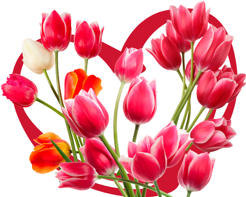 Vibrant_ Tulip_ Bouquet_ Heart_ Background PNG