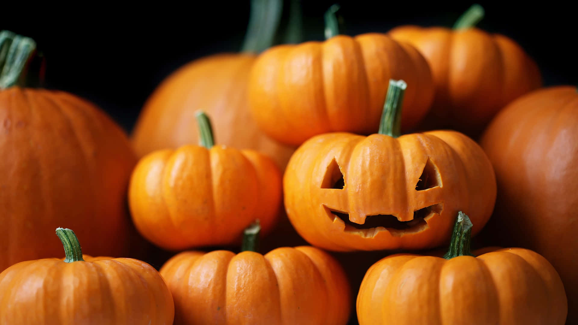 Vibranteexhibición De Calabaza De Otoño