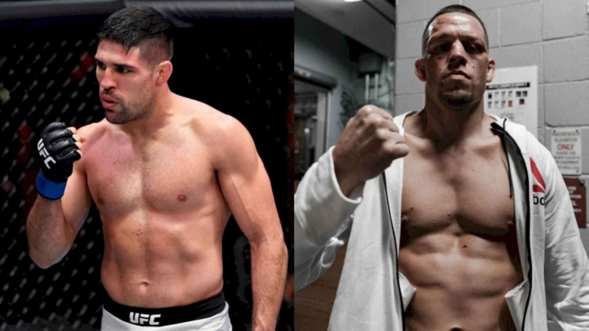 Vicente Luque And Nate Diaz Wallpaper