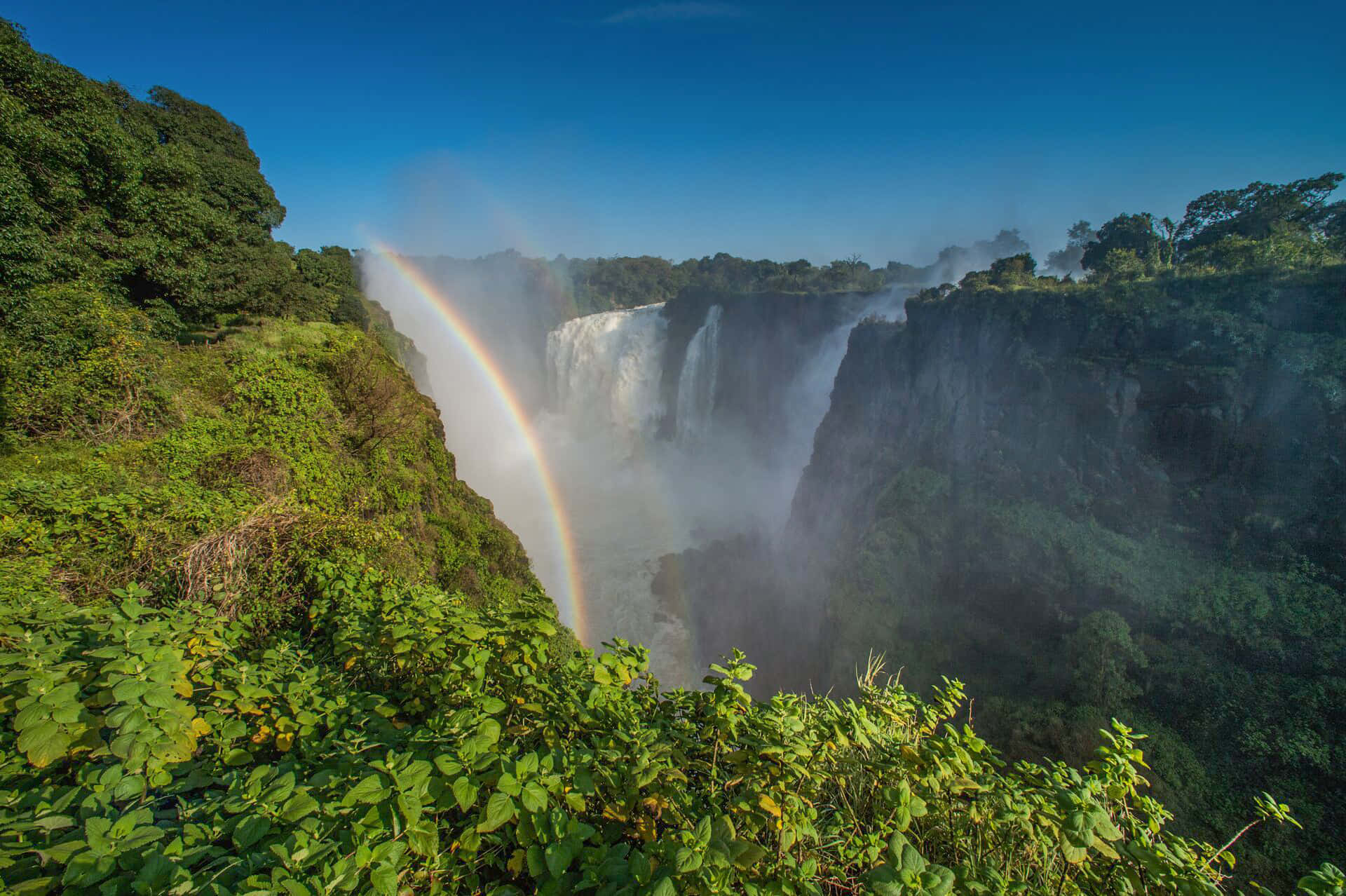 Victoria Falls Surrounded By Jungles Wallpaper