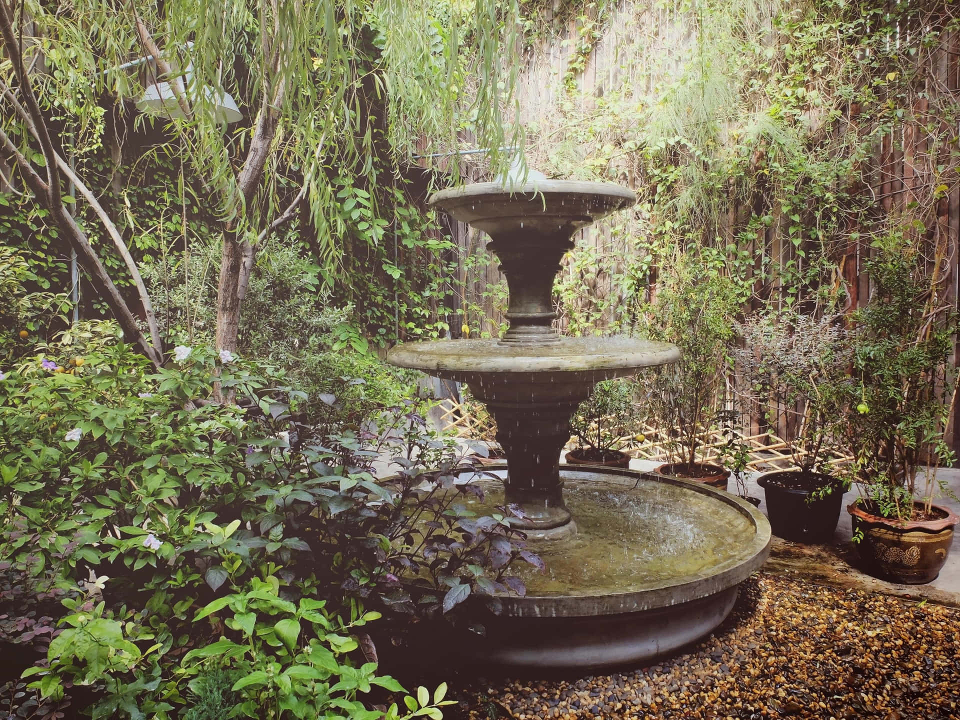 Victoriaanse Tuin Fontein Sereniteit Achtergrond