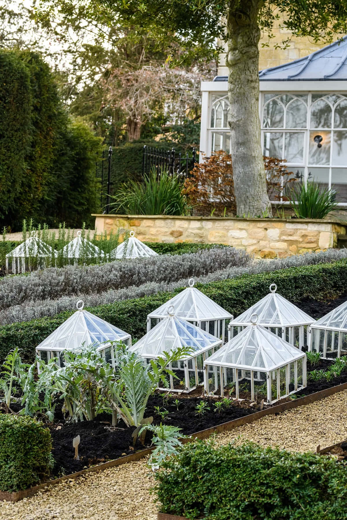 Cloches En Verre De Jardin Victorien Fond d'écran