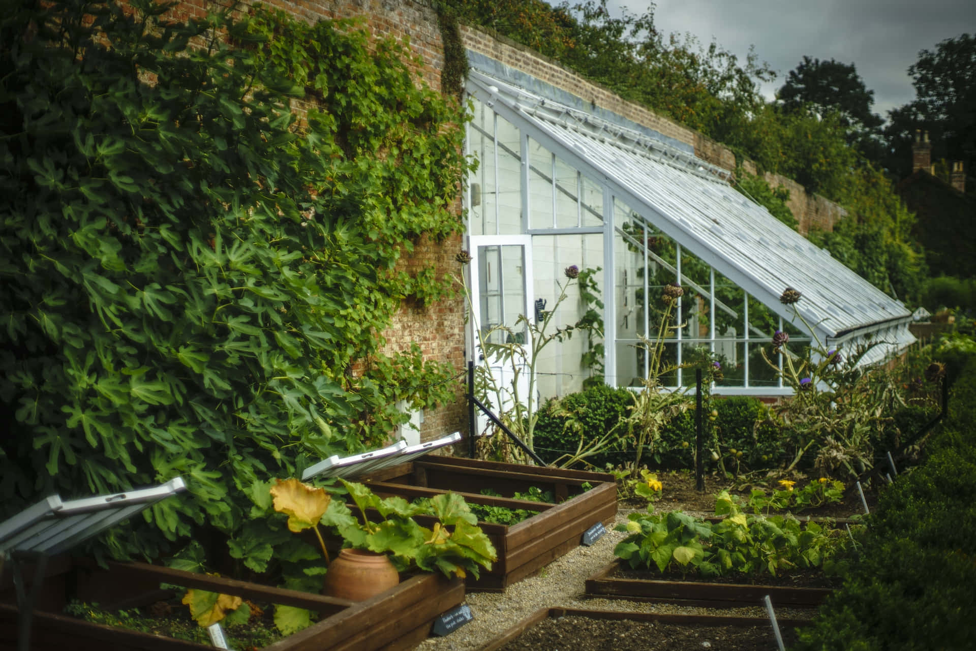 Serre De Jardin Victorien Fond d'écran