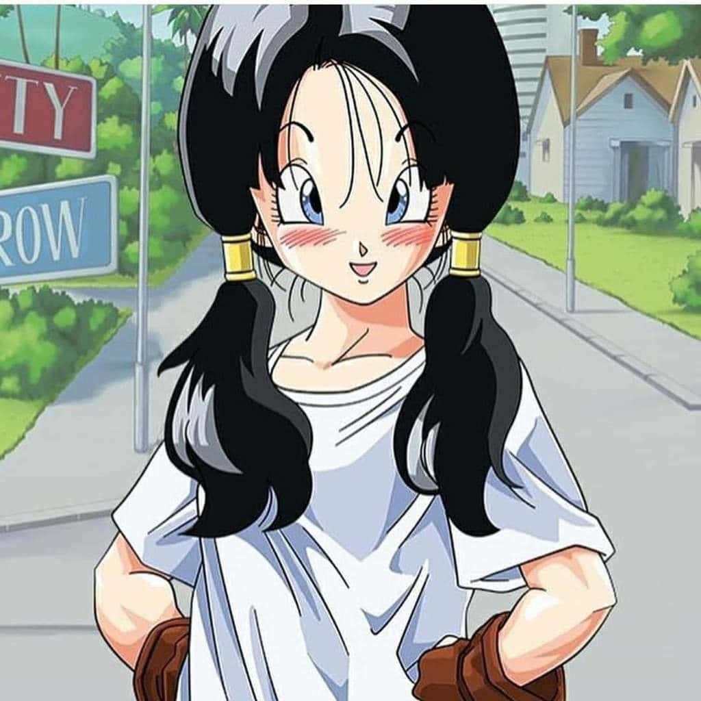 Videl, De Martial Artist Uit Dragon Ball Z Achtergrond