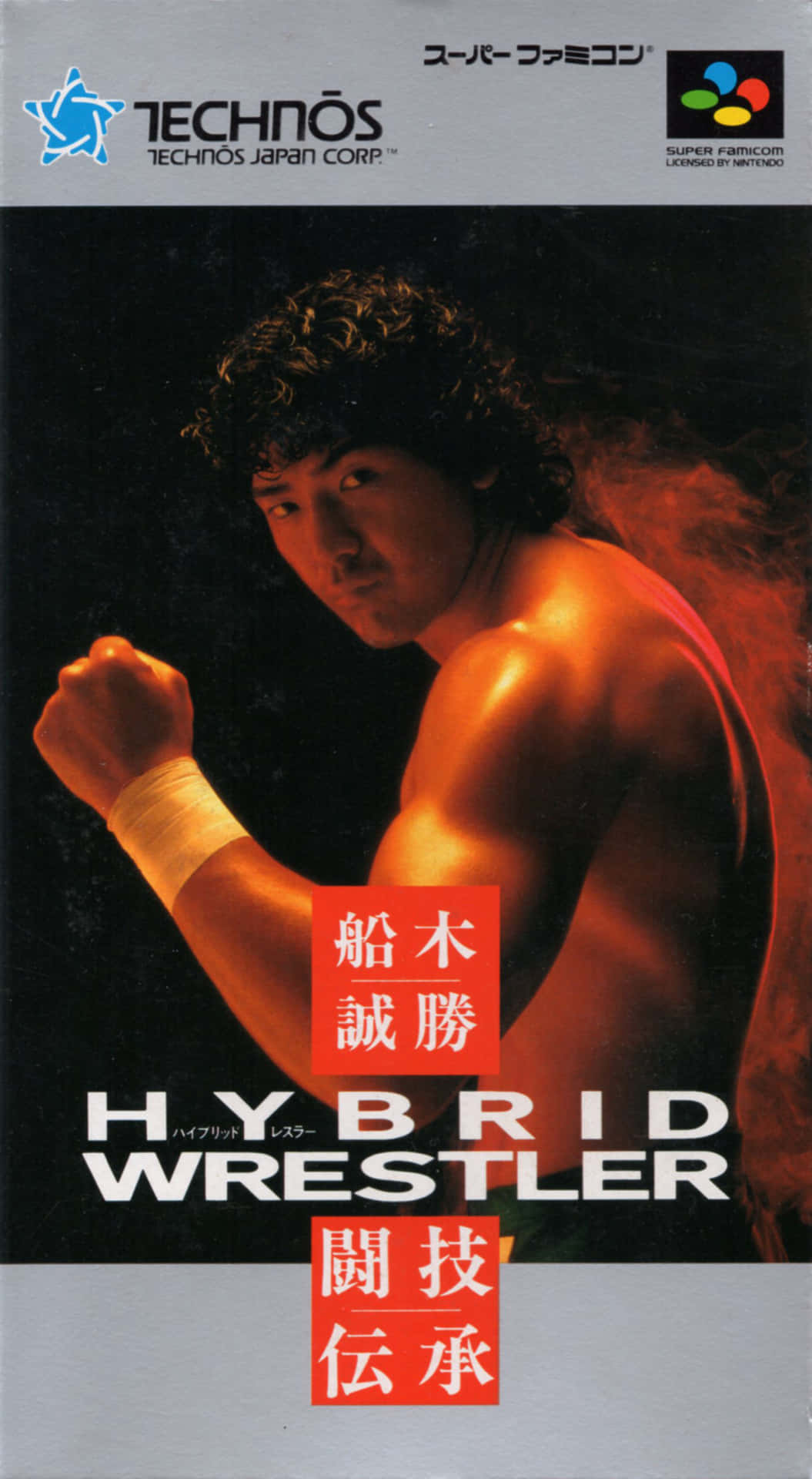 Videogame Hybrid Wrestler Med Masakatsu Funaki. Wallpaper