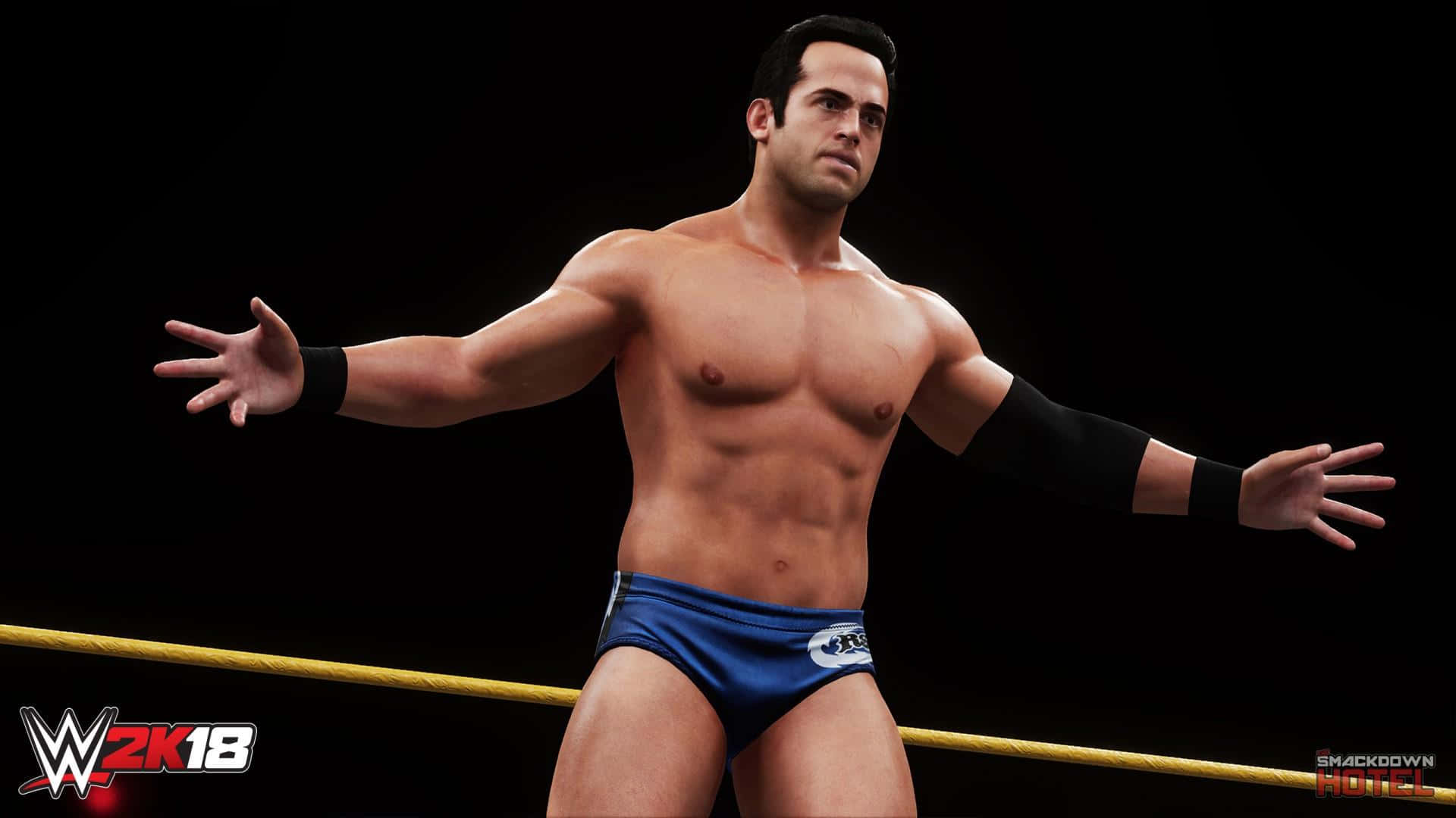 Video Game Model Of Roderick Strong Wallpaper
