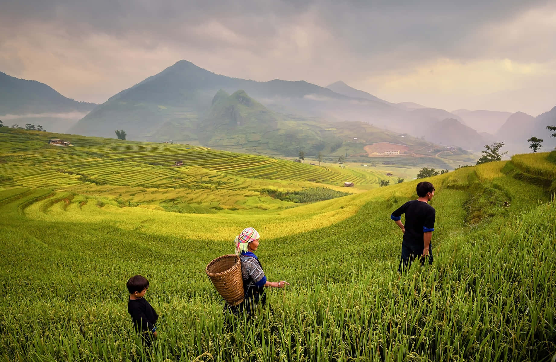 Serene Sunset Over Vietnam's Iconic Mountains