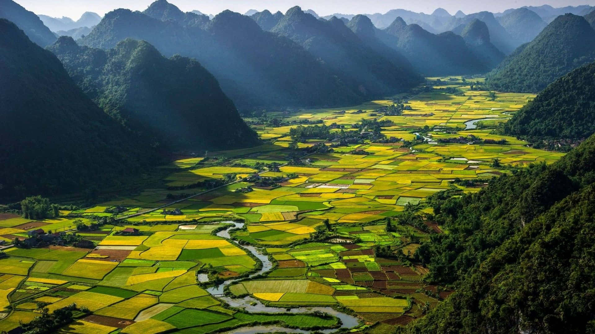 A Valley With Rice Fields And A River