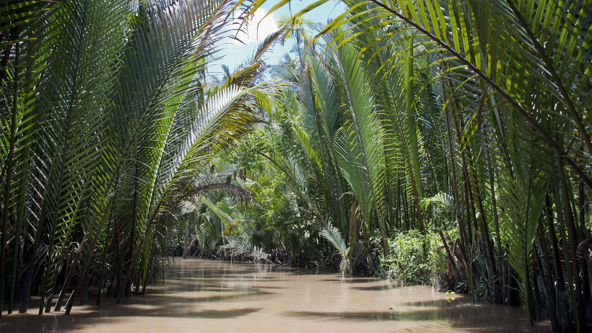 A picturesque view of Vietnam's natural beauty