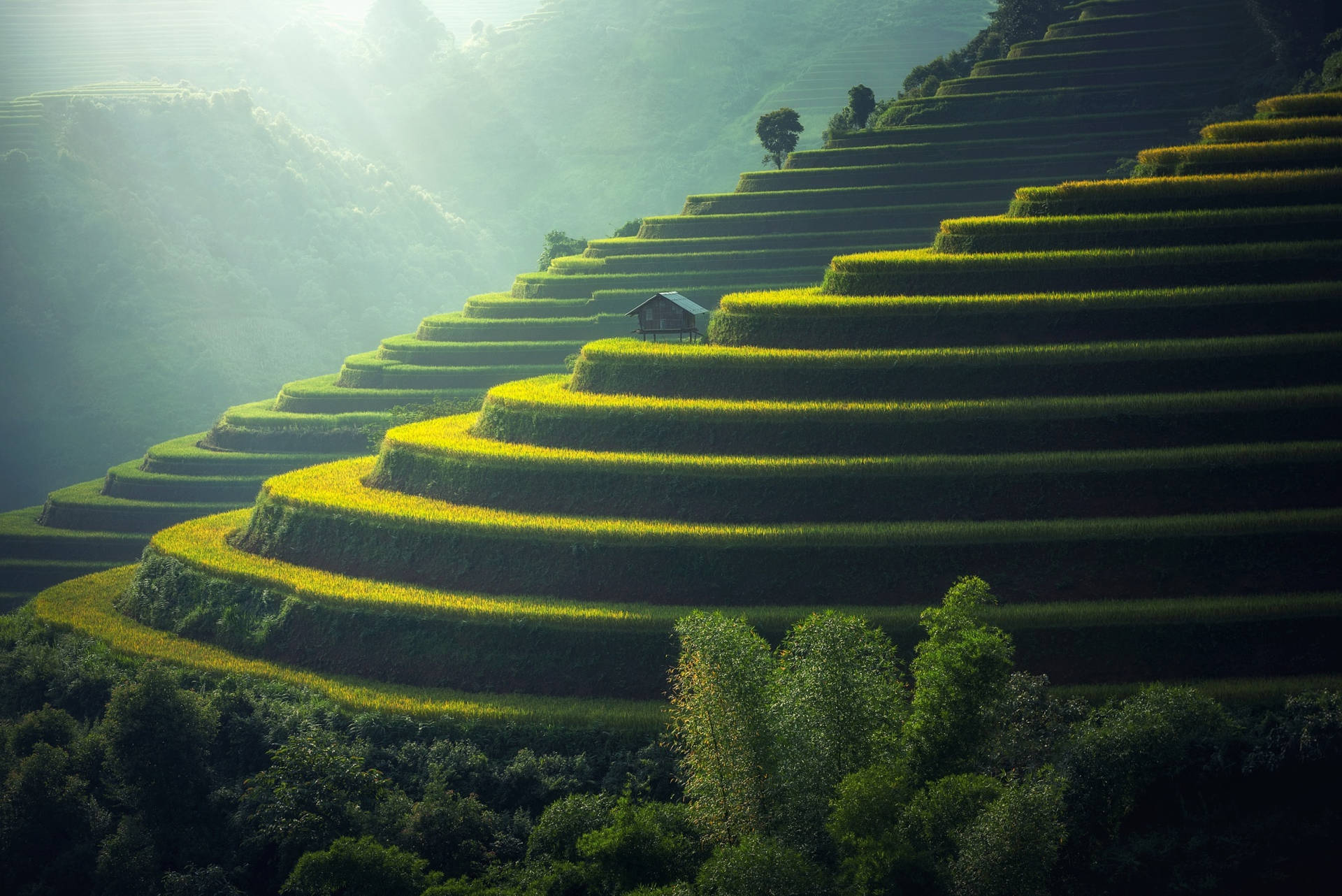 Breathtaking View of Rice Terraces in Vietnam Wallpaper