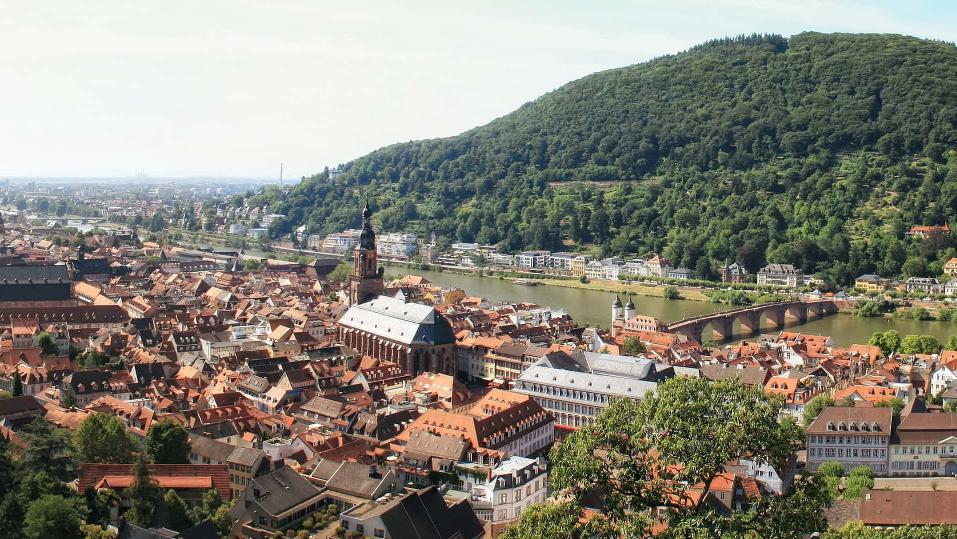 Vistadal Castello Di Heidelberg Sfondo