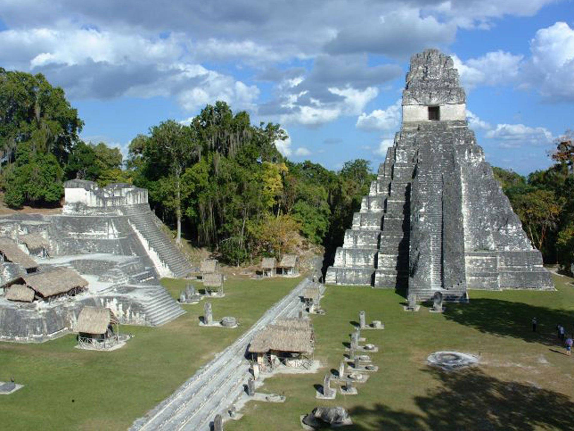 Vistade Tikal Fondo de pantalla