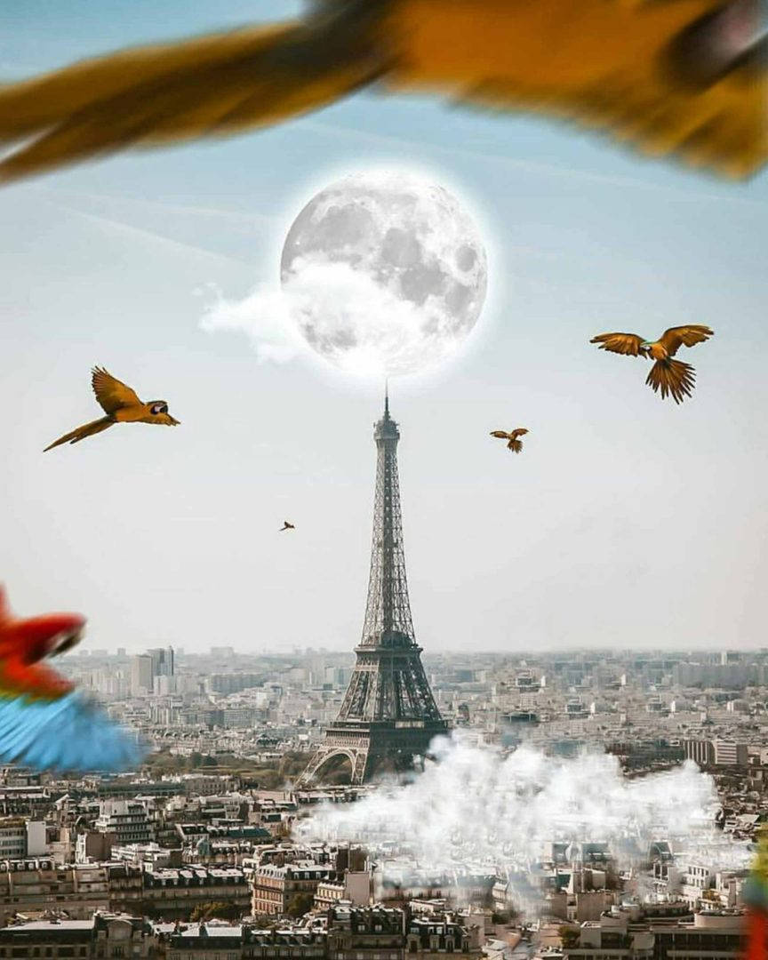 Vijaymahar, Torre Eiffel, Luna, Pájaros. Fondo de pantalla