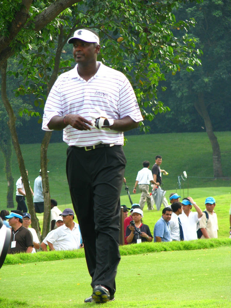 Retratodel Golfista Fijiano Vijay Singh Fondo de pantalla