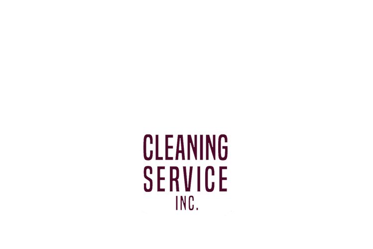 Viking Cleaning Service Logo PNG