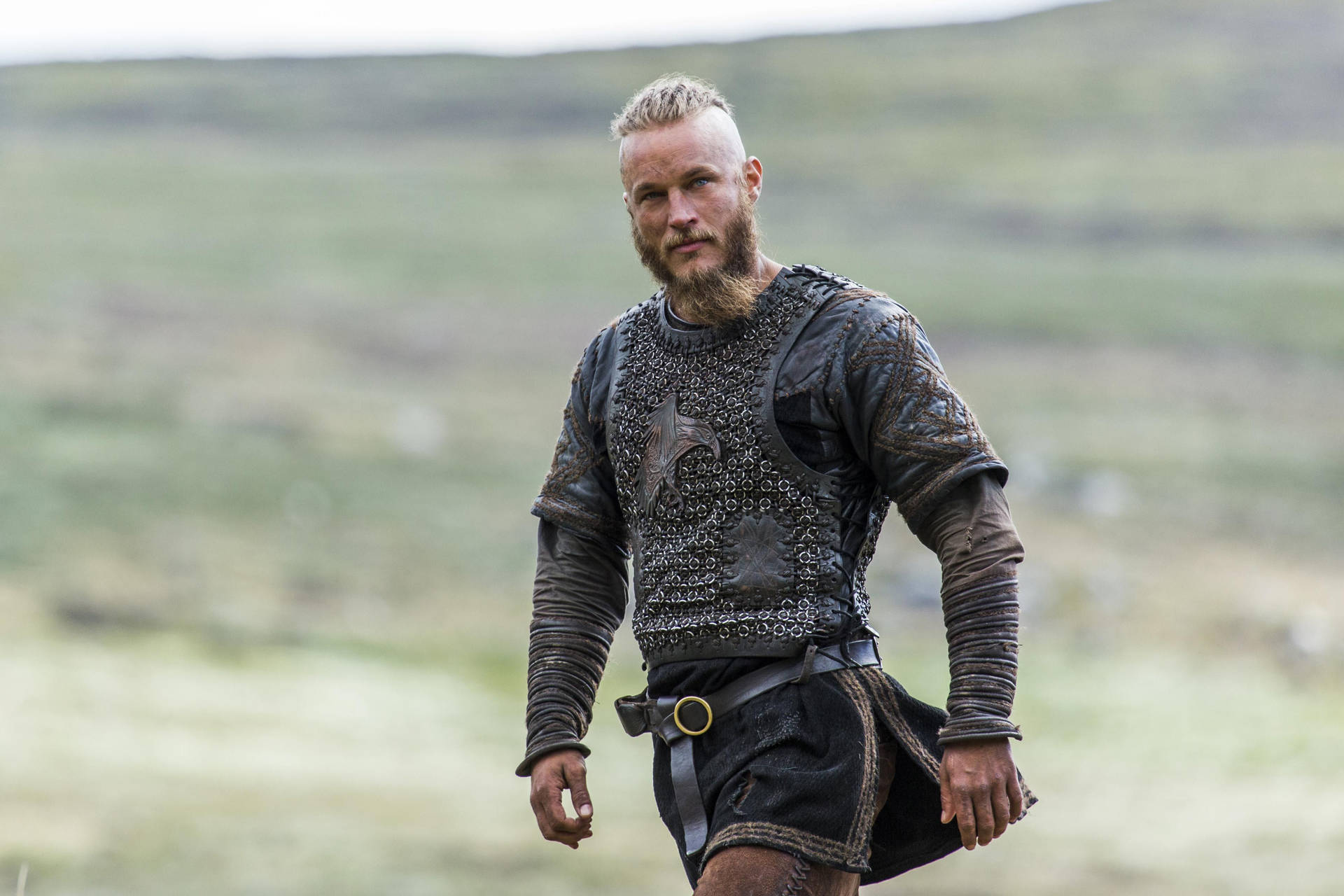 Vikings King Ragnar In Grassy Field Wallpaper