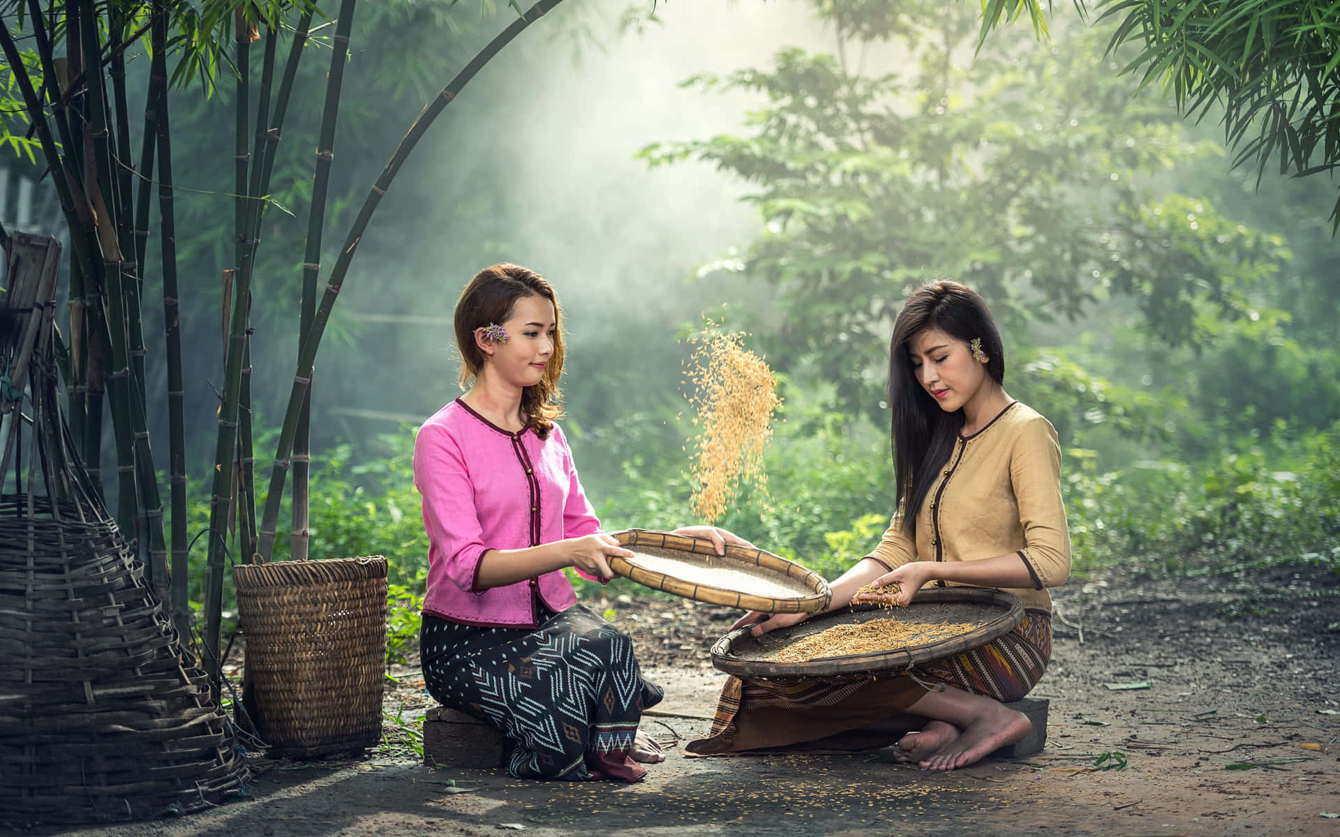 Dorfmädchen Beim Reisputzen Bilder