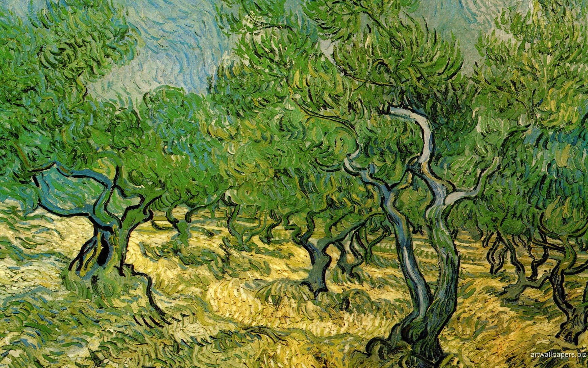 Vincent Van Gogh Olive Tree Wallpaper