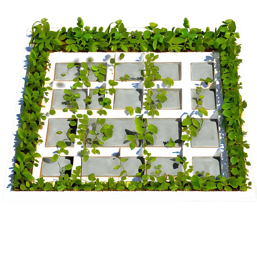 Vine Overgrown Window Frame PNG