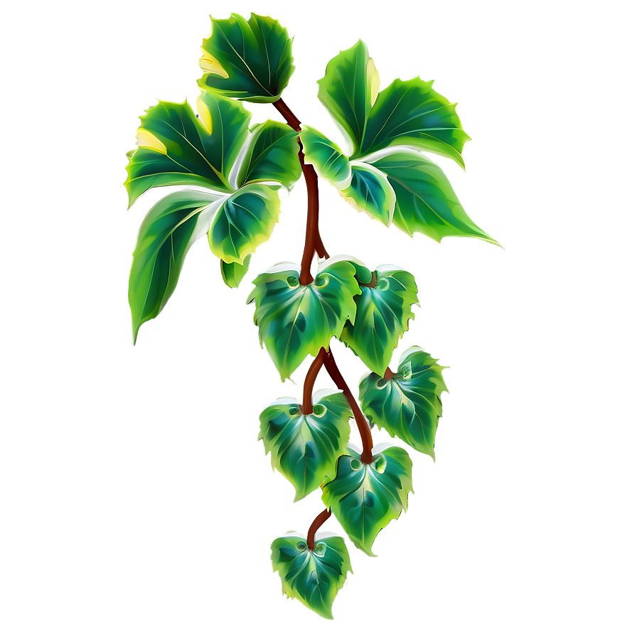 Vine Plant Png 56 PNG