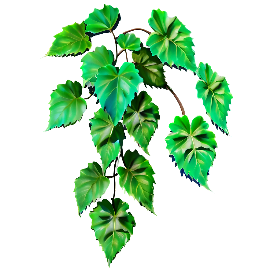 Vine Plant Png Eqw33 PNG