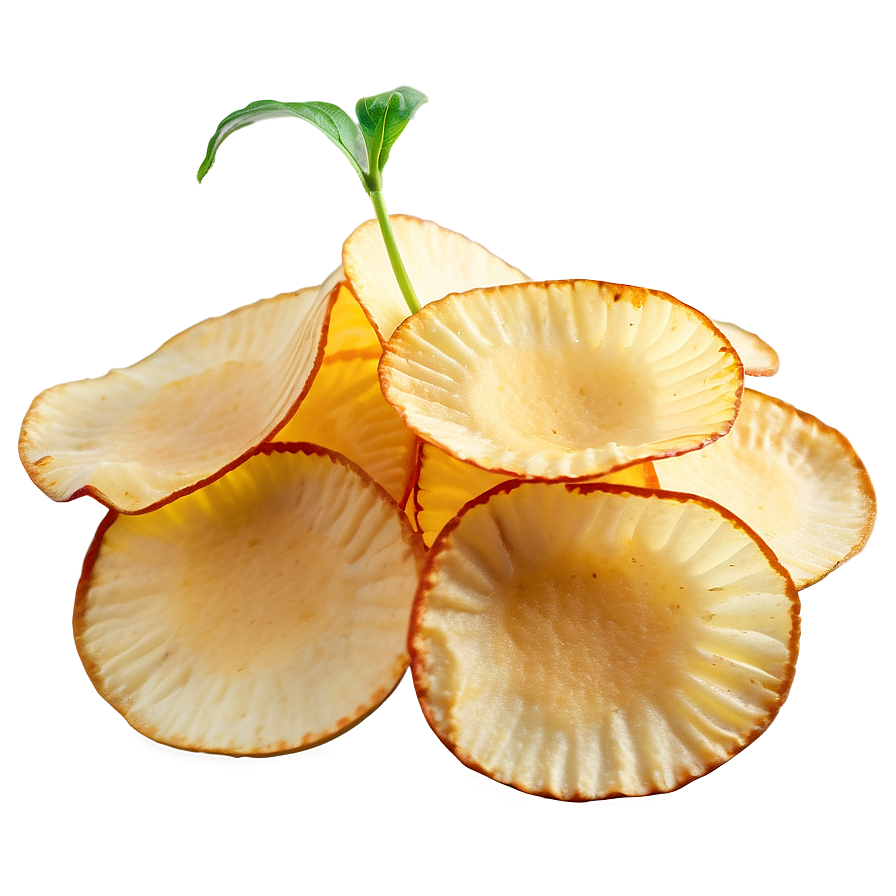 Vinegar Potato Chips Png 85 PNG