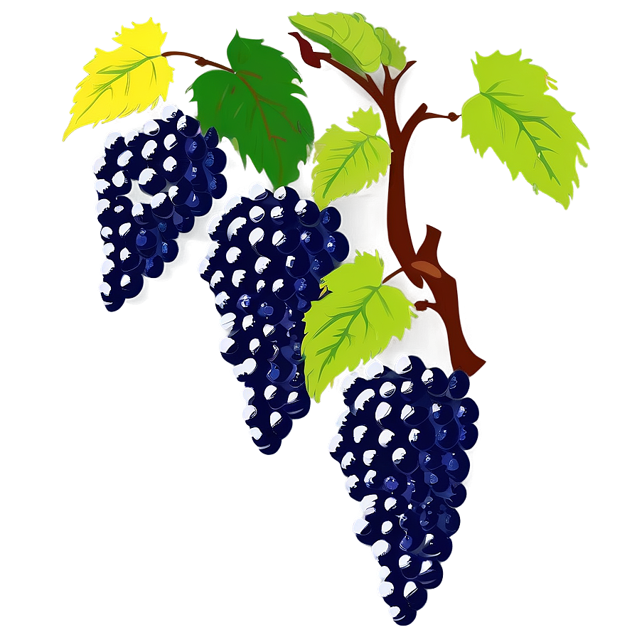 Vineyard Grape Vine Png 05042024 PNG