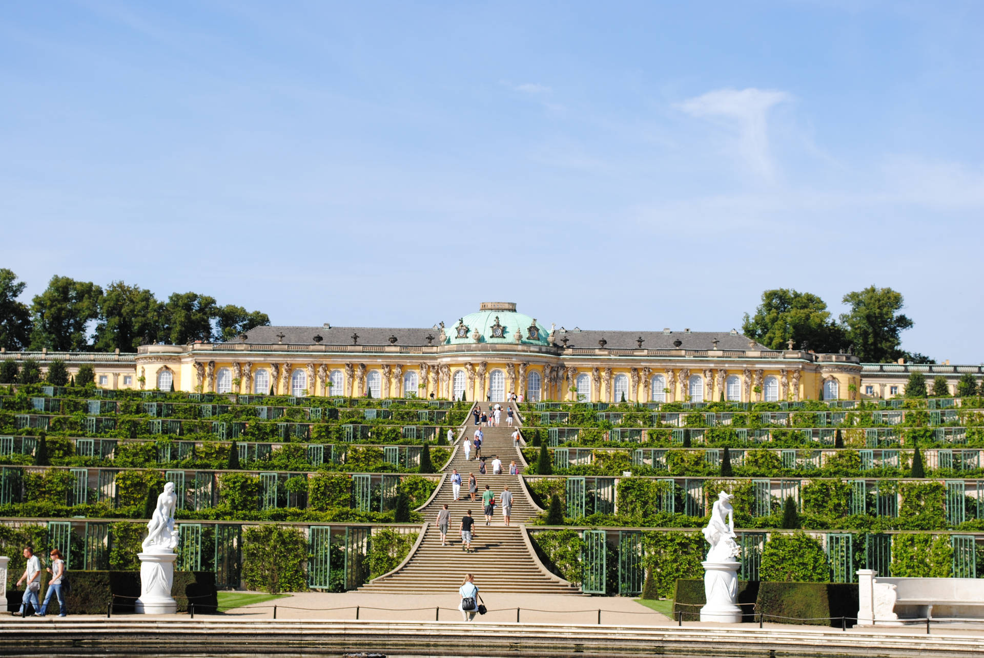 Vineyard In Sanssouci Palace Potsdam Picture