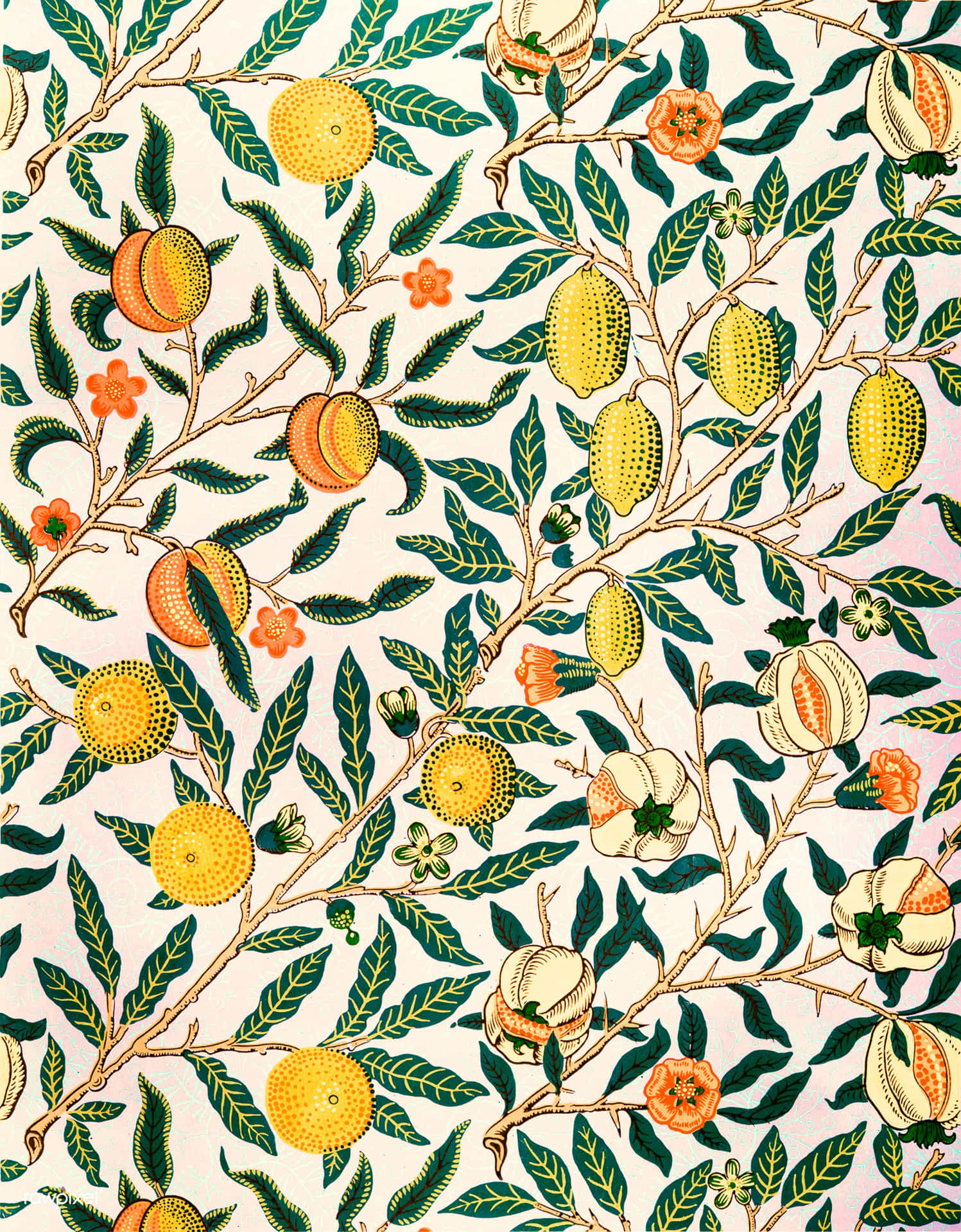 Vintage 60s Pomegranate Fruits And Leaves Wallpaper
