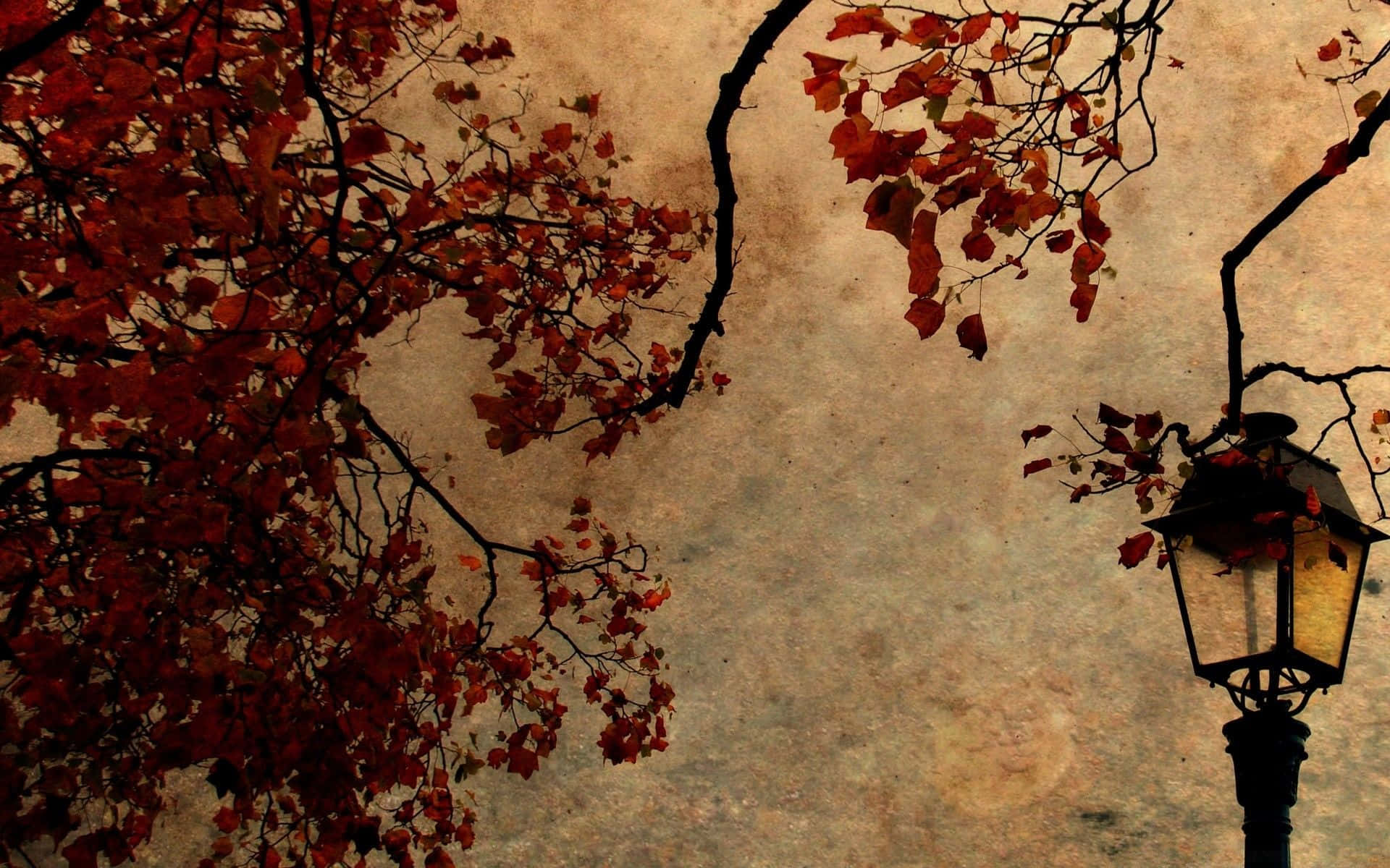 Genießedie Schönheit Eines Herbsttages Wallpaper