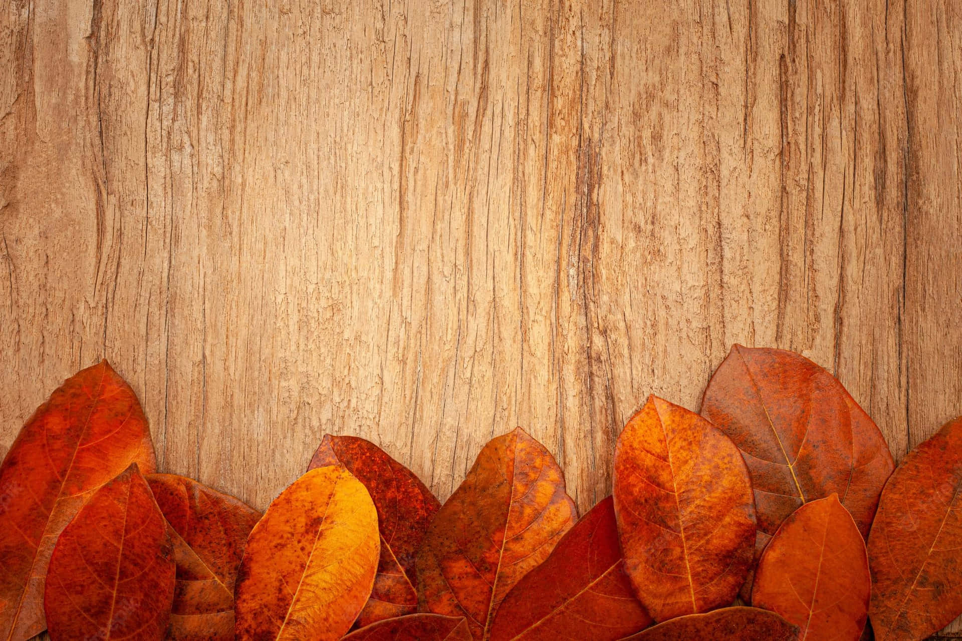 Genießensie Die Farben Des Nostalgischen Herbstes Wallpaper