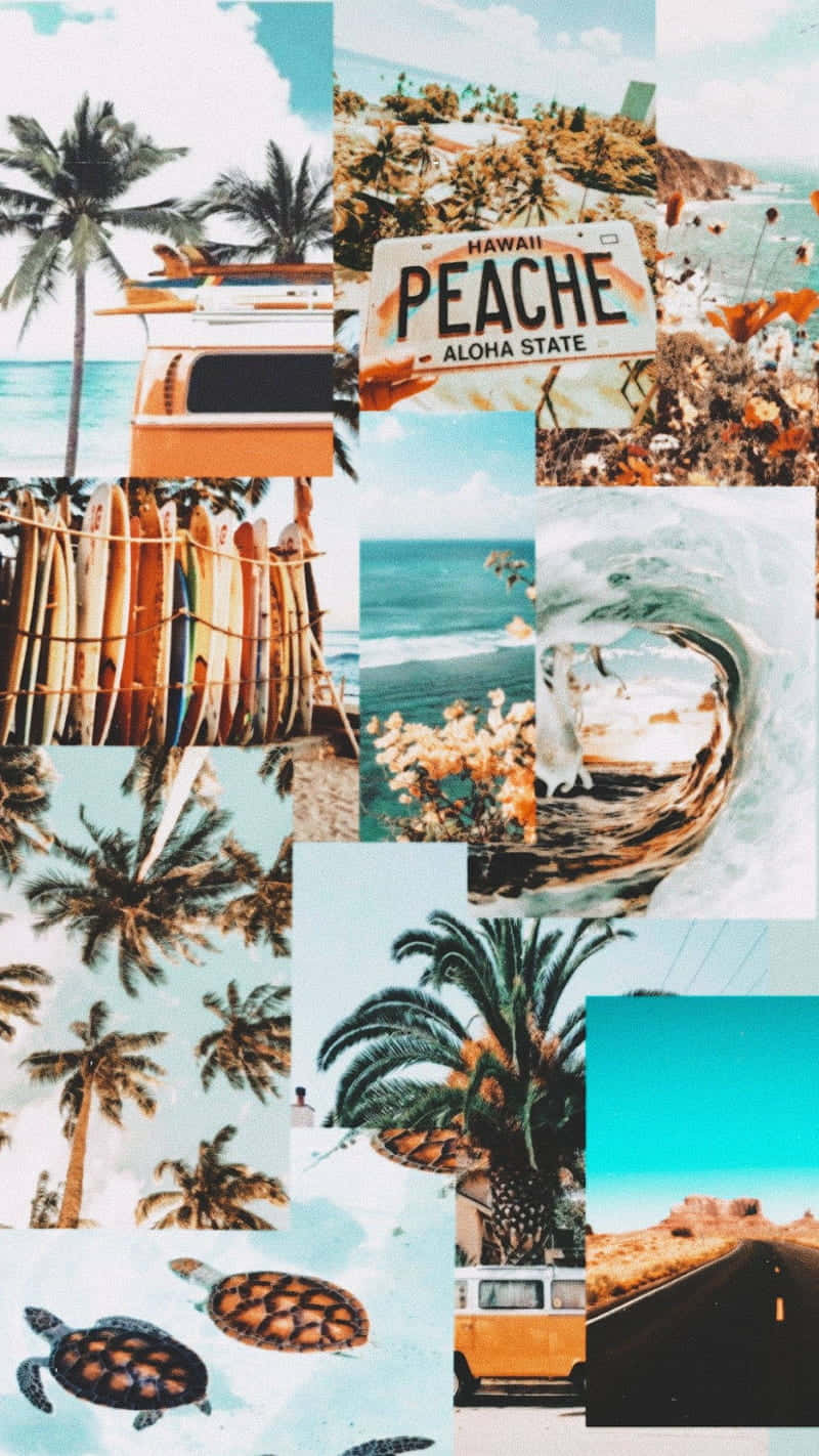 Vintage Beach Collage Aesthetic.jpg Wallpaper