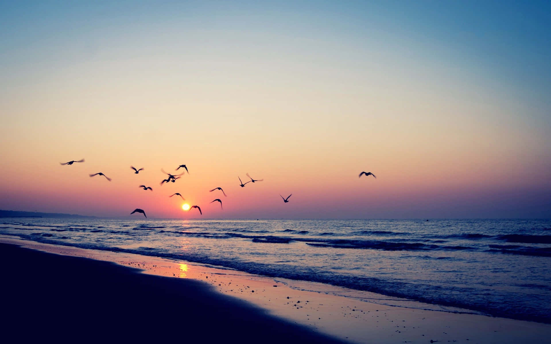 Vintage Beach Sunsetwith Birds Flying Wallpaper
