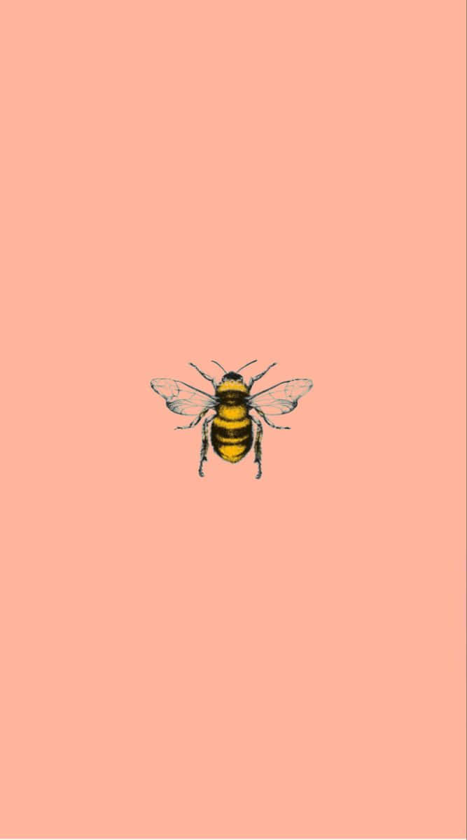 Sweet Summertime with a Vintage Bee Wallpaper