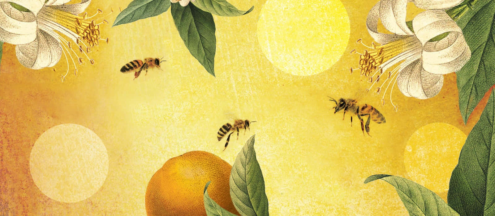 Vintage Bee Garden Aesthetic Wallpaper