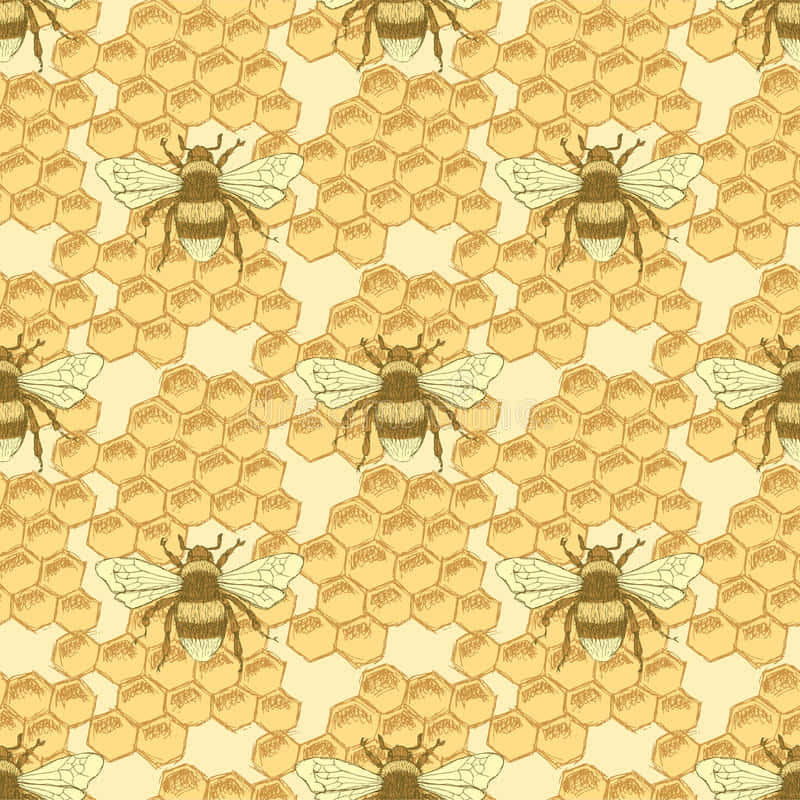 A beautiful vintage bee in a summer meadow. Wallpaper