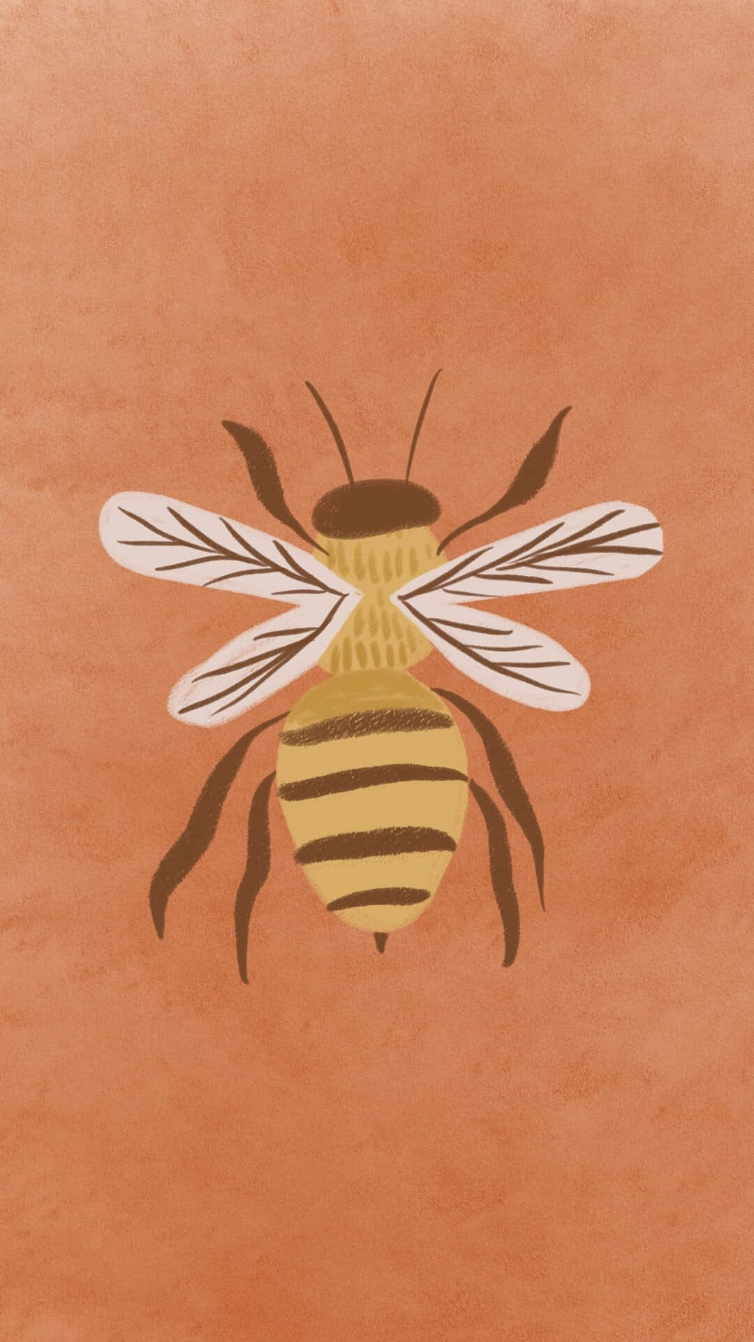 Vintage Bee Illustration Aesthetic Wallpaper
