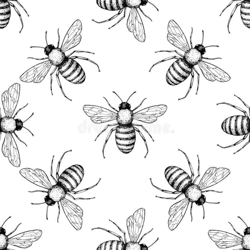 "Welcome to the World of Vintage Bee". Wallpaper