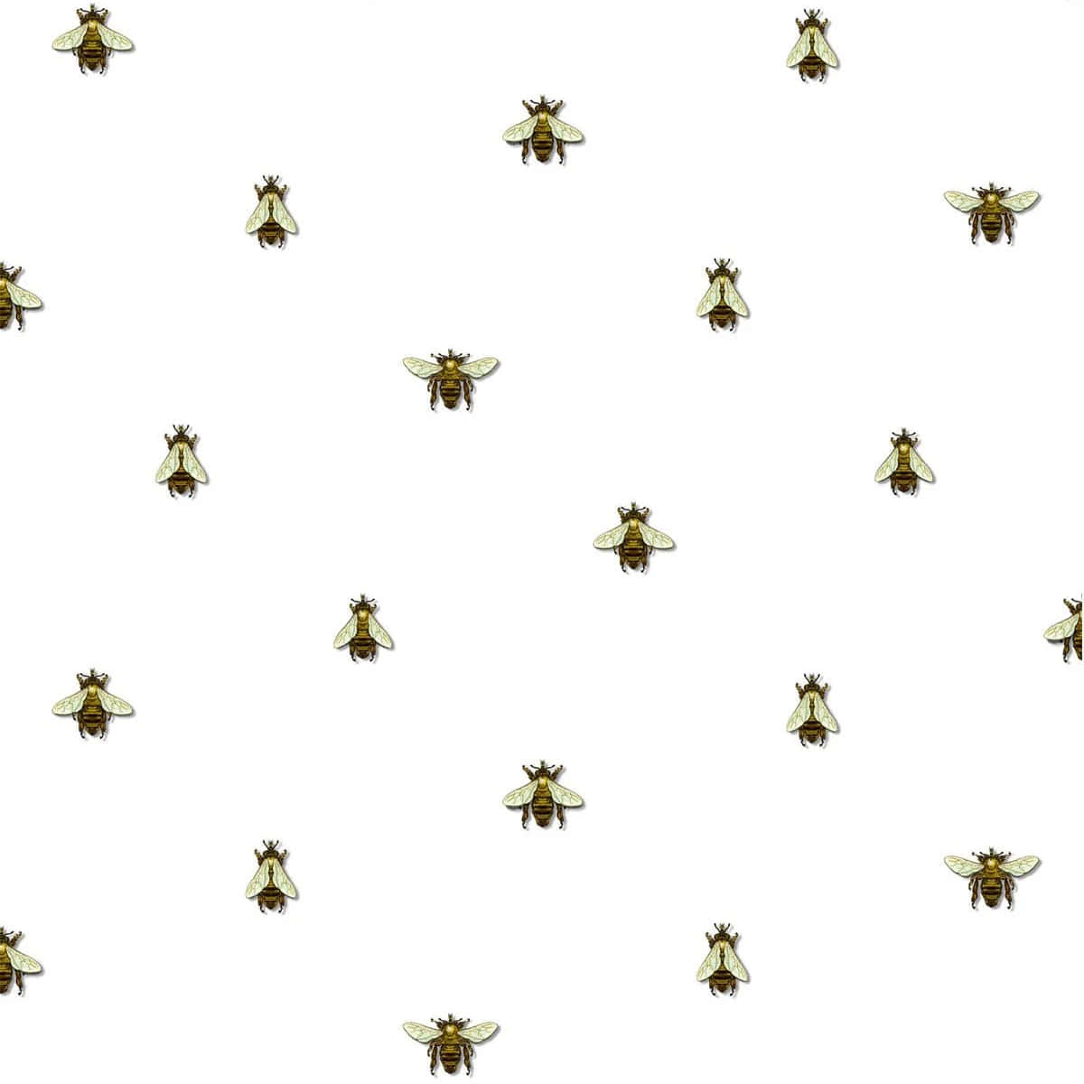 Vintage Bee Pattern Background Wallpaper