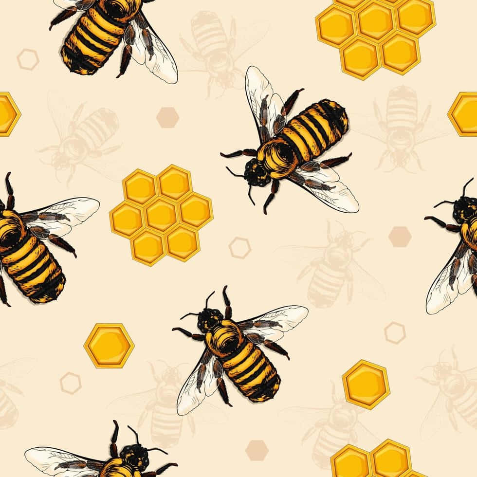 Vintage Beeand Honeycomb Pattern Wallpaper