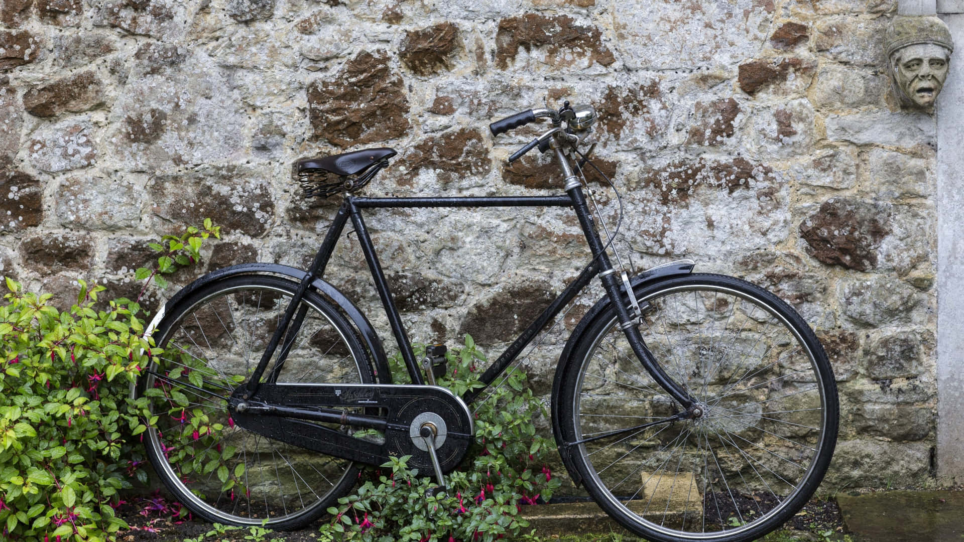 Vélo Vintage Contre Mur En Pierre Fond d'écran