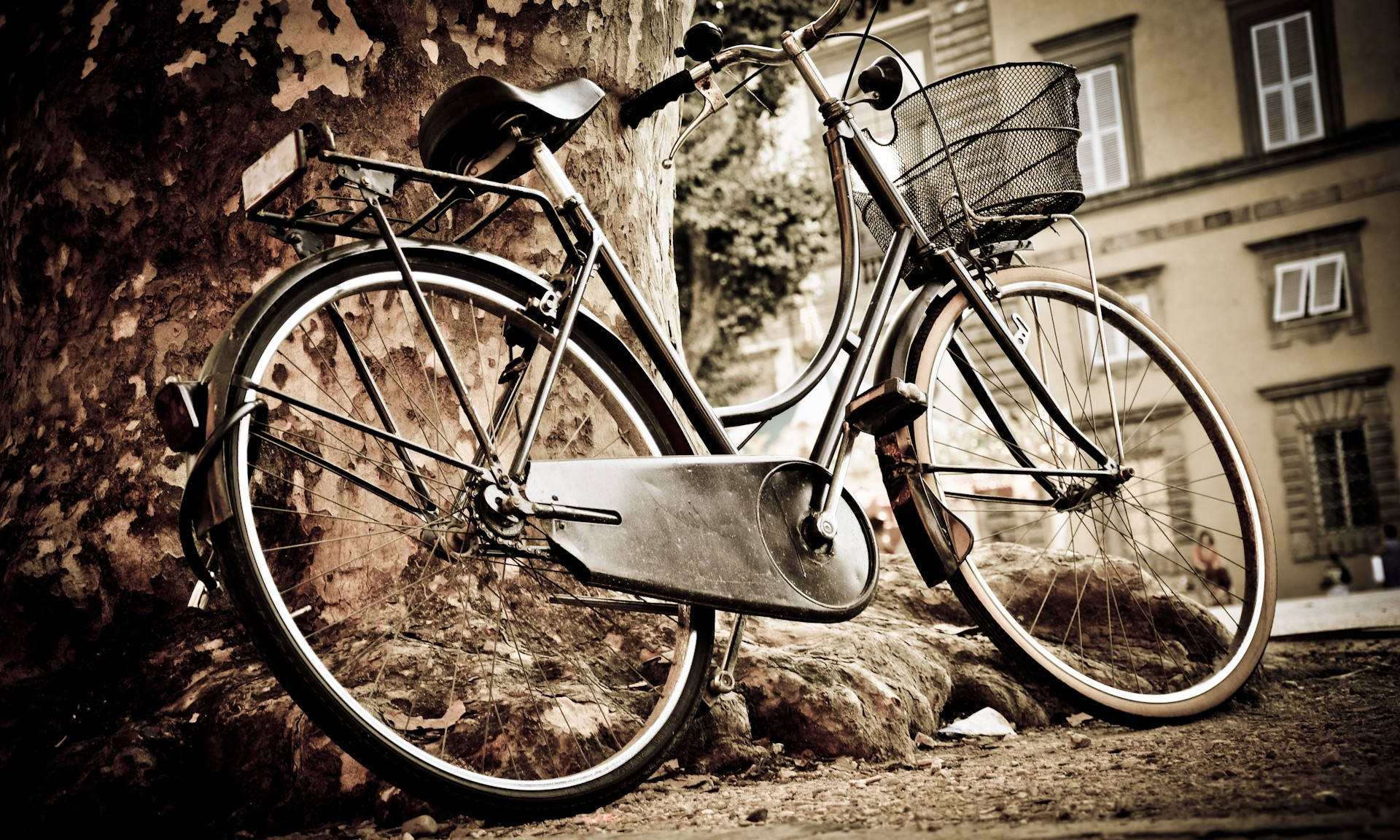 Vintage Bicycle By A Tree Background