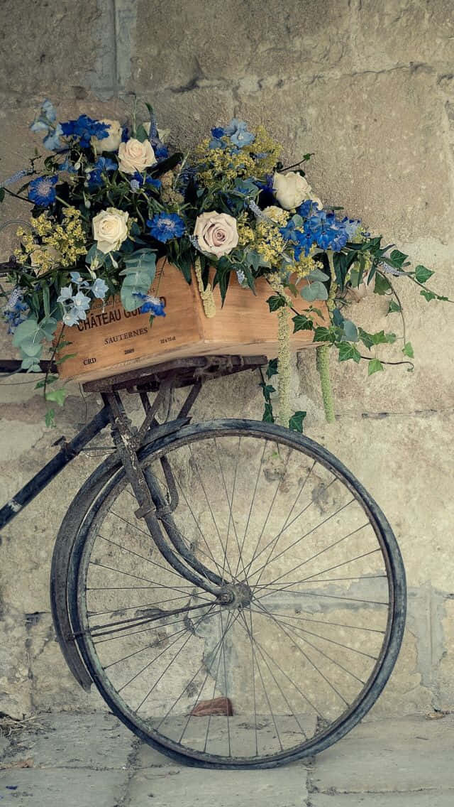 Vélo Vintage Avec Panier De Fleurs Fond d'écran