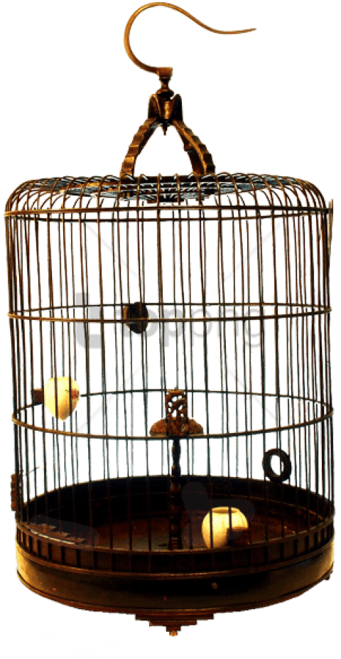 Vintage Bird Cage PNG