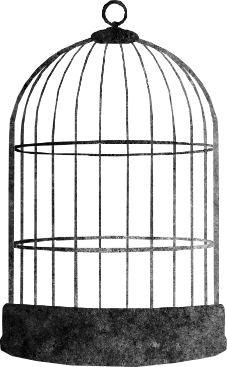 Vintage Bird Cage Graphic PNG