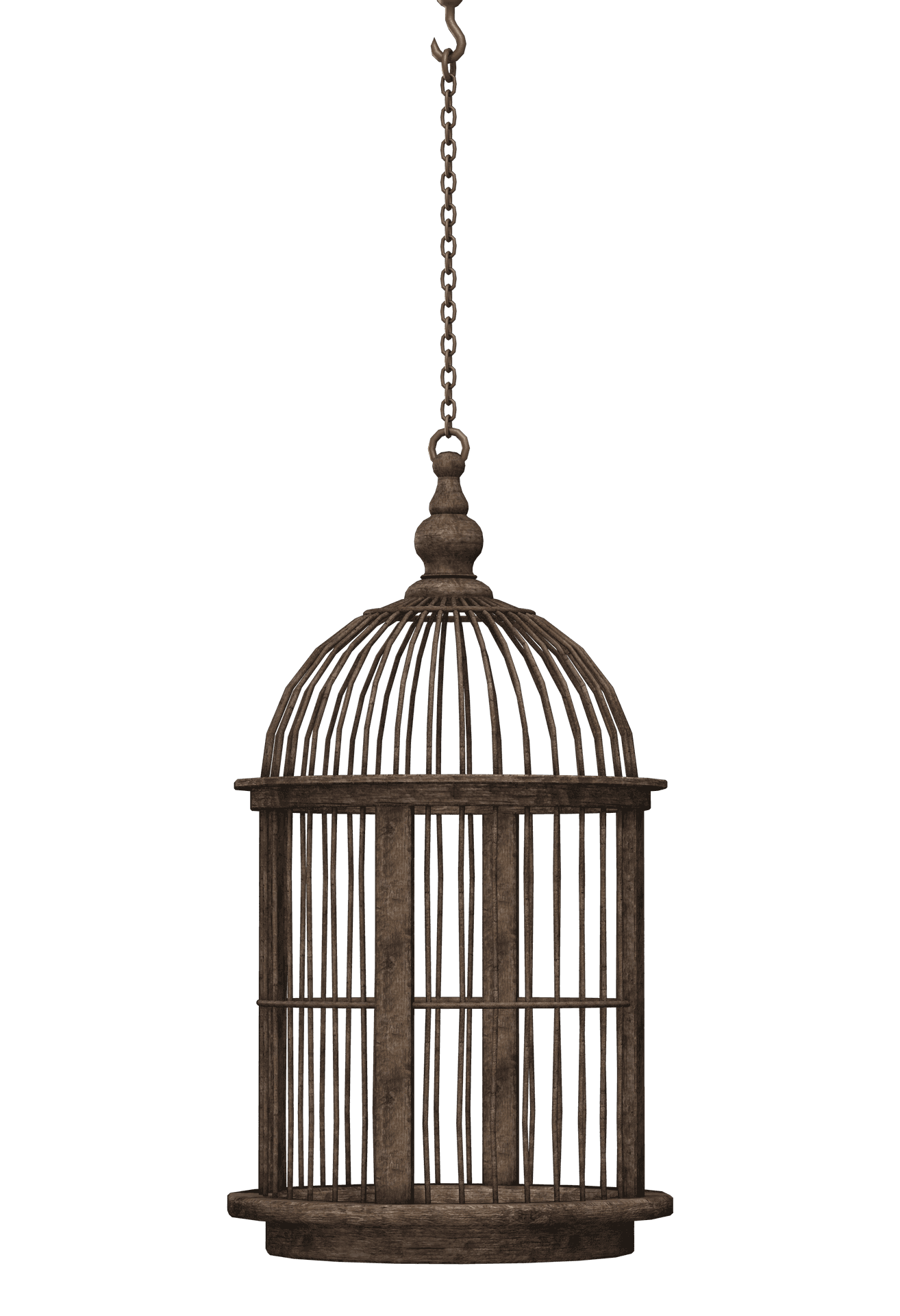 Vintage Bird Cage Isolated PNG